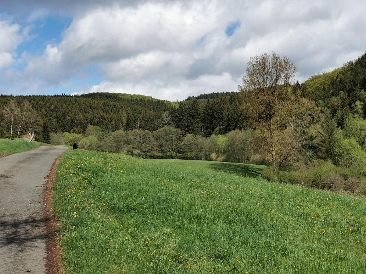 Ferienhaus Mit Ausblick Brilon Eksteriør billede