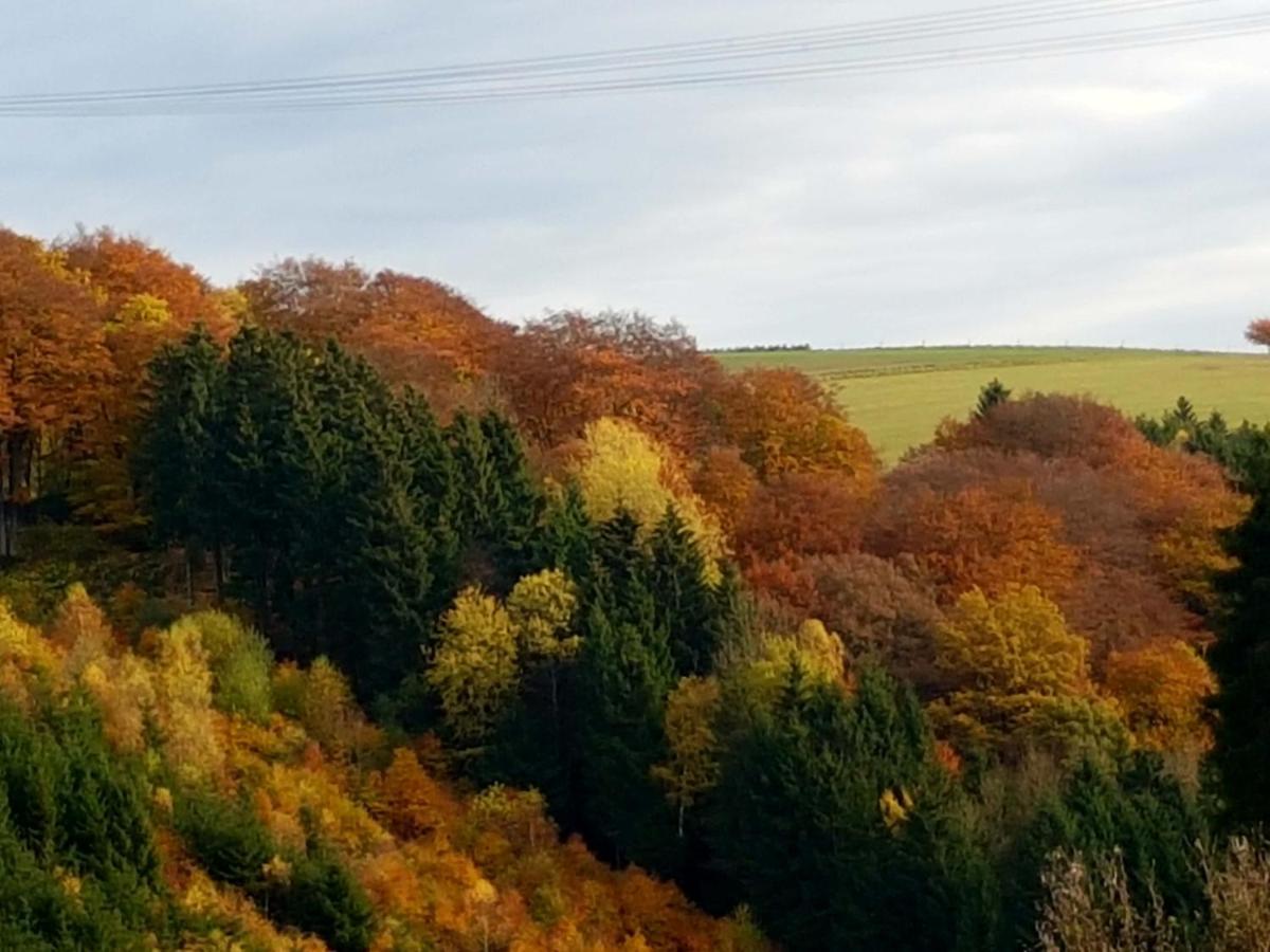 Ferienhaus Mit Ausblick Brilon Eksteriør billede