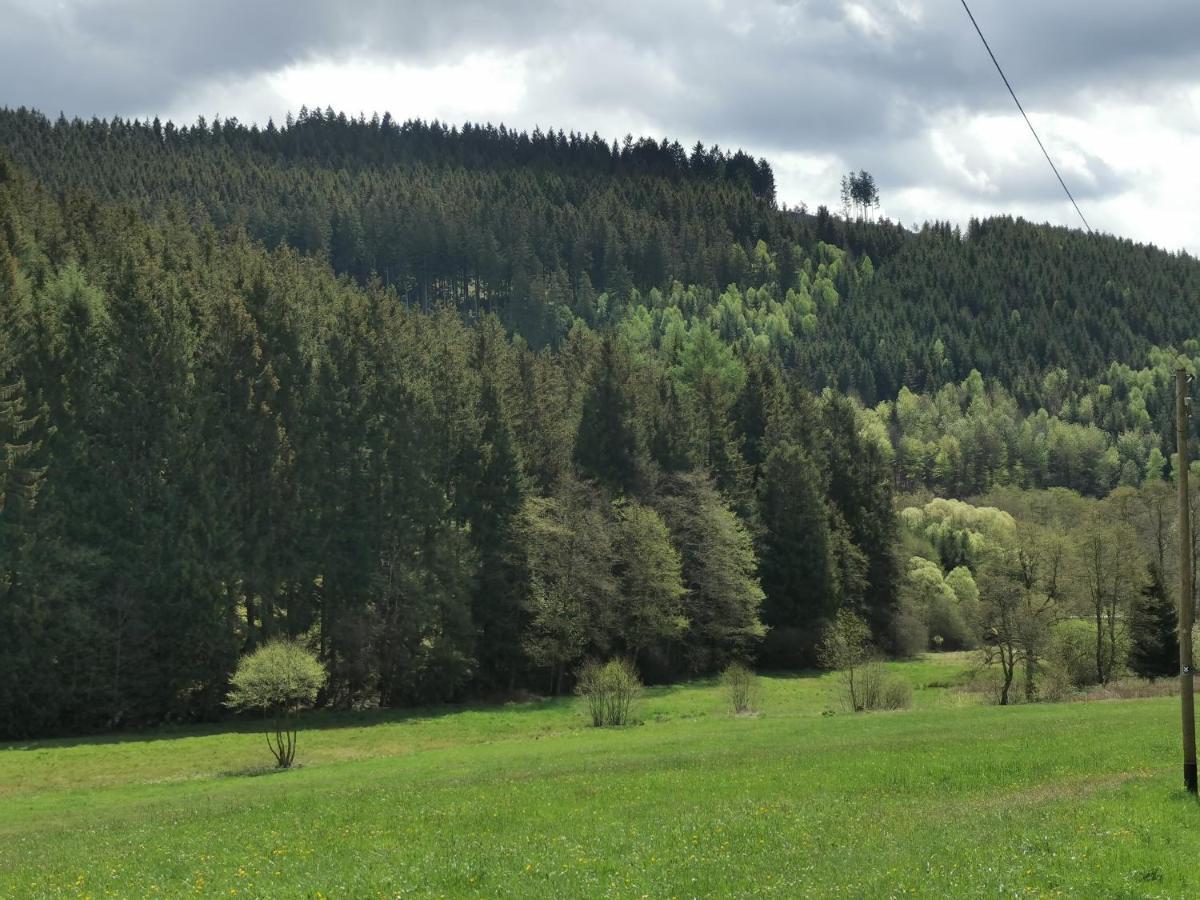 Ferienhaus Mit Ausblick Brilon Eksteriør billede