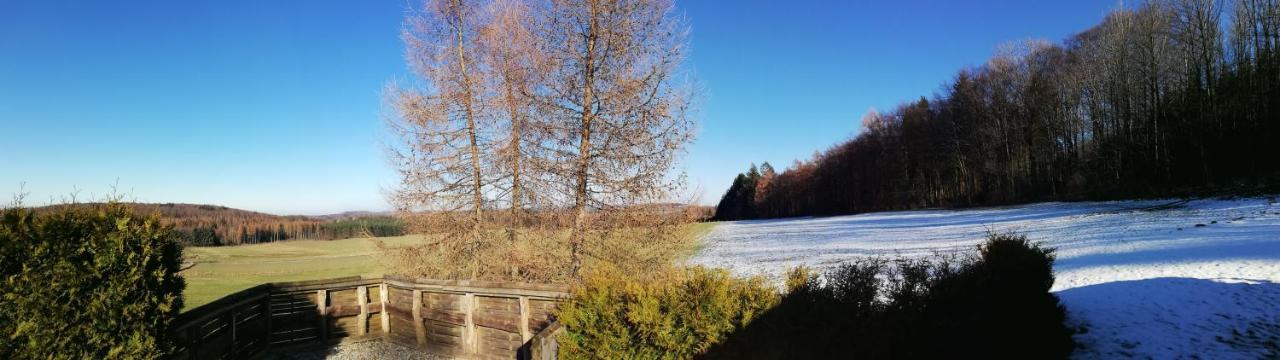 Ferienhaus Mit Ausblick Brilon Eksteriør billede